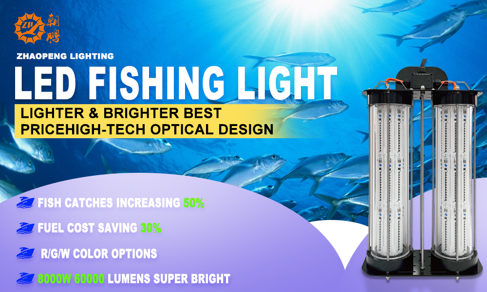Under Water Fishing Light 6000w IP68 Use It in Fishing Farms (steel Cages) - Image 4
