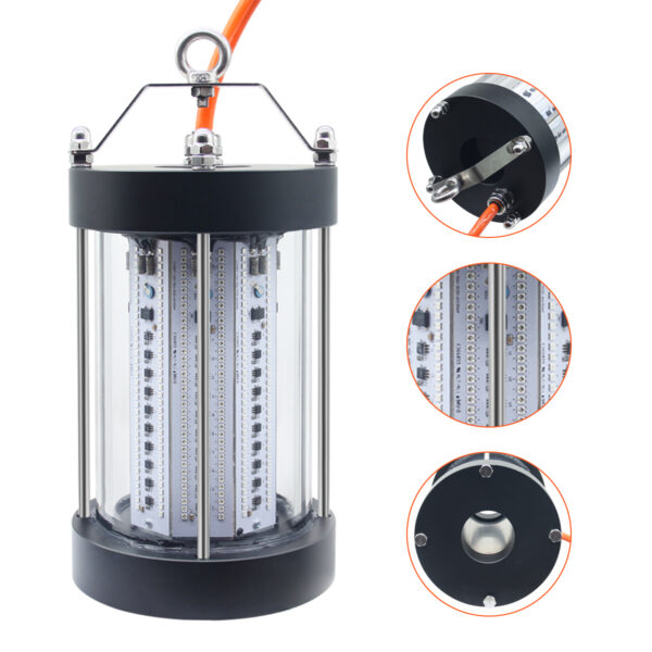 1000w Fish Light Use It in Fishing Farms (steel Cages) Inside the Open Sea Fishing Lights Marine - Image 4