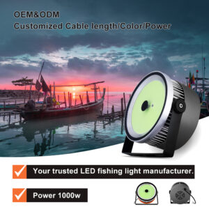 Boat Fishing 1000watts Light Weight Portable Fishing Boat LED Waterproof